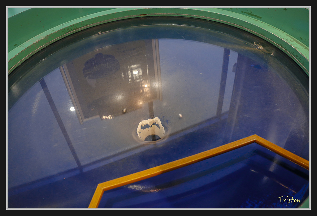 Canon-510.jpg - 20170120 大阪神戶親子遊