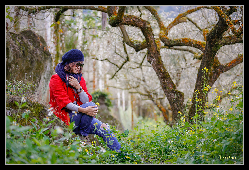 _H1A1281.jpg - 20170117 烏松崙、竹青庭