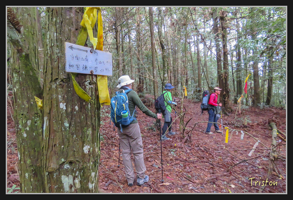 IMG_1372.jpg - 20170318 守關山、守城大山
