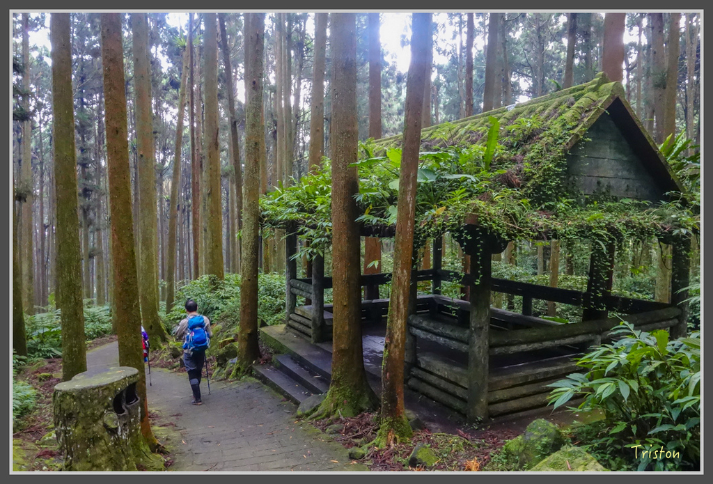 DSC00834.jpg - 20160924 溪頭台寅山