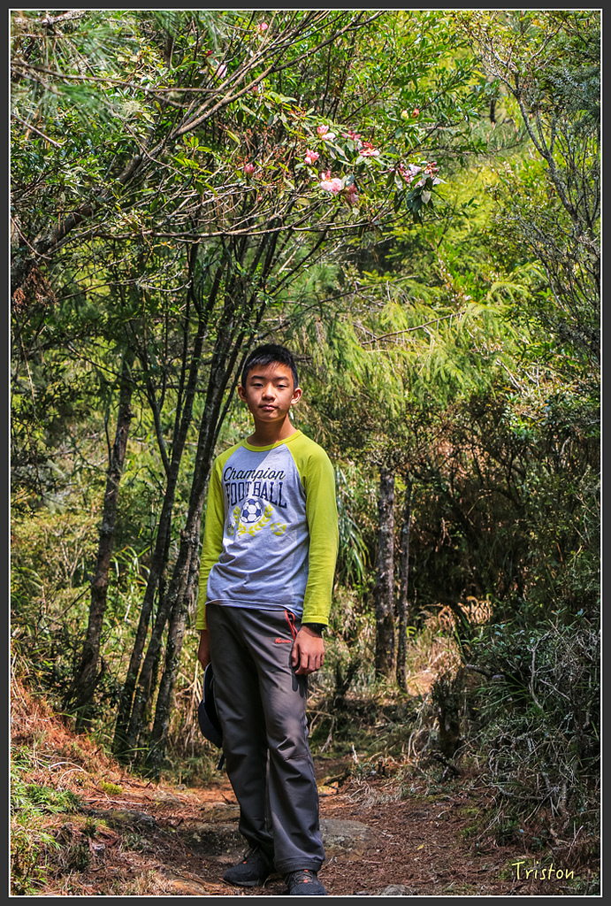 IMG_6238.jpg - 20160402 鹿林麟趾東埔山