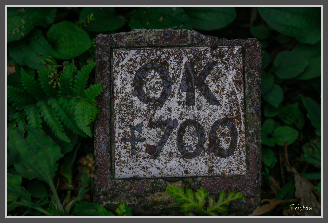 _MG_8722.jpg - 20160622 圓潭、雲潭、水社寮車站