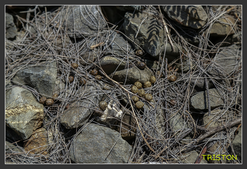 _H1A7041.jpg - 20170916 中央號誌站、枋山車站、南迴線