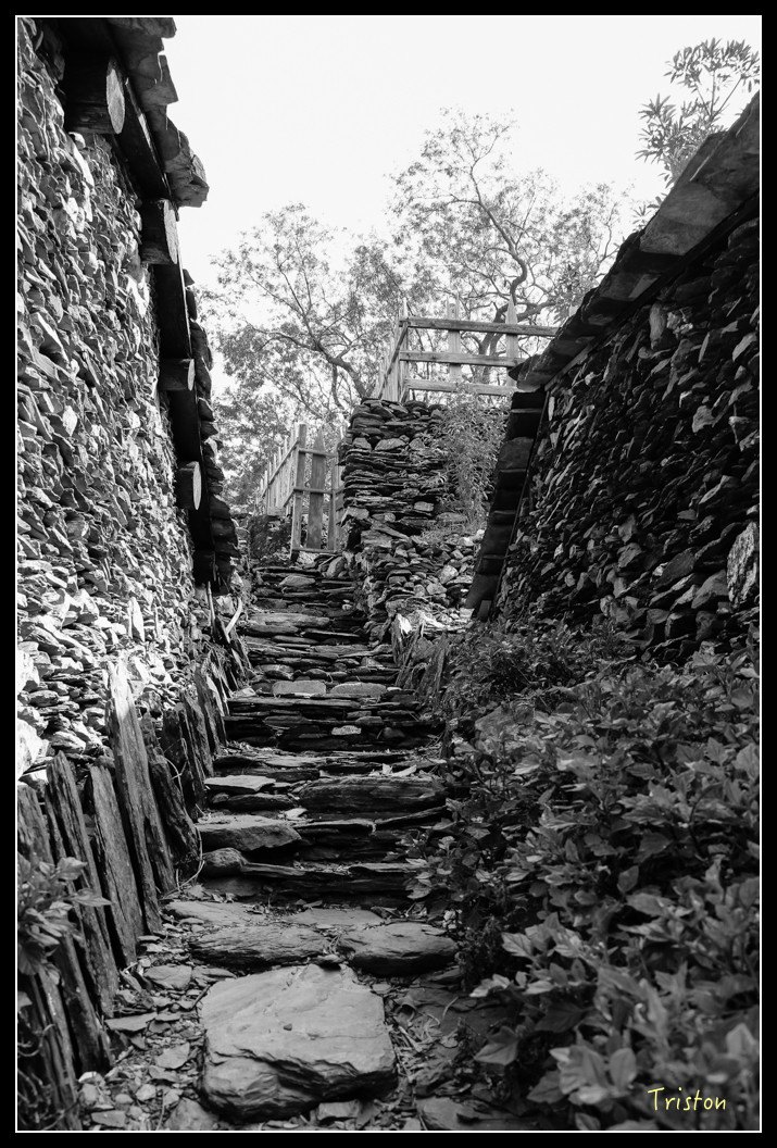 IMG_9503.jpg - 20151202 老七佳部落