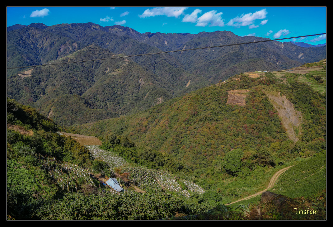 JH1A0568.jpg - 20151205 合歡溪步道、108K楓之谷