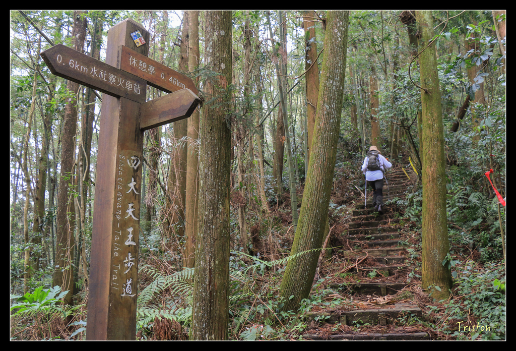 IMG_8398.jpg - 20151012 水社寮,四天王山