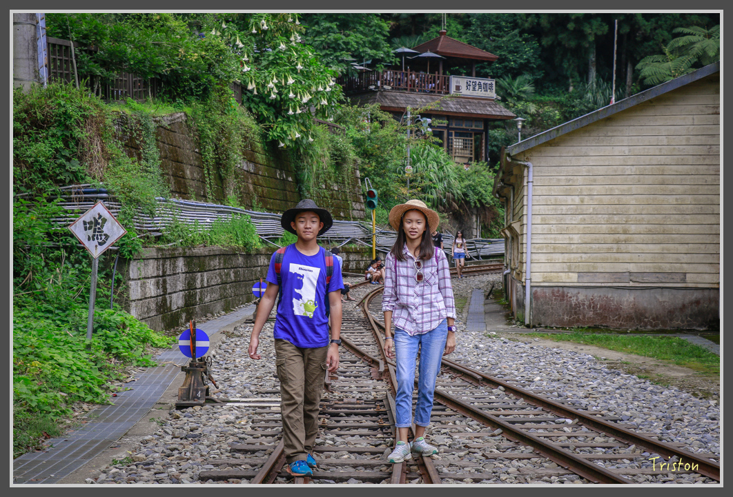 _MG_9490.jpg - 20160724 奮起湖阿里山森鐵一日遊