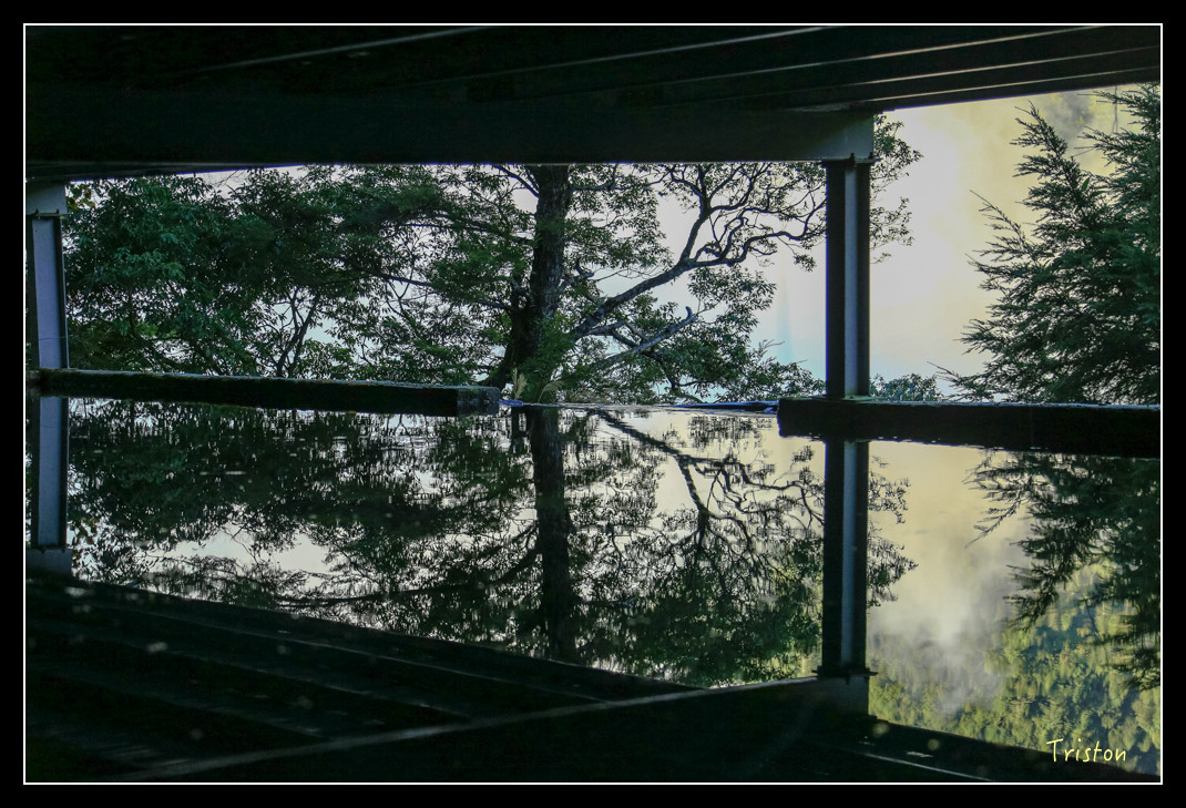 JH1A0840.jpg - 20151205 合歡溪步道、108K楓之谷