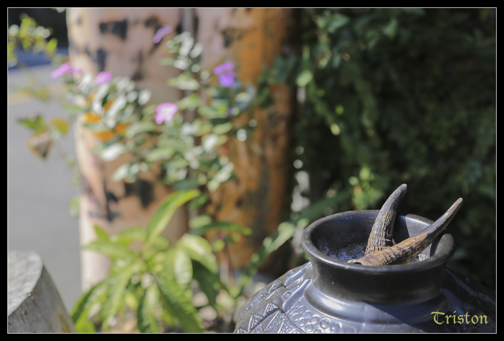 jh1a0044_15145505434_o.jpg - 20141111 屏東霧台 神山 一日來往輕旅行