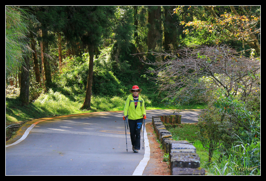 IMG_9212.jpg - 20151130 小笠原山、對高岳