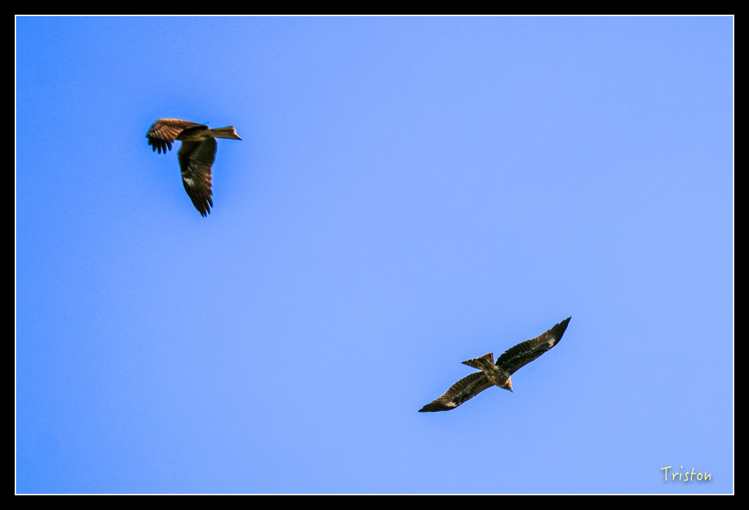 IMG_9441.jpg - 20151202 老七佳部落