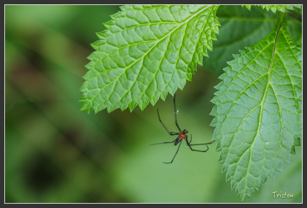 IMG_1534-2.jpg - 20160122 南仁湖、墾丁