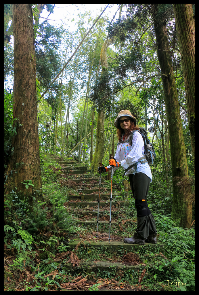 IMG_8395.jpg - 20151012 水社寮,四天王山