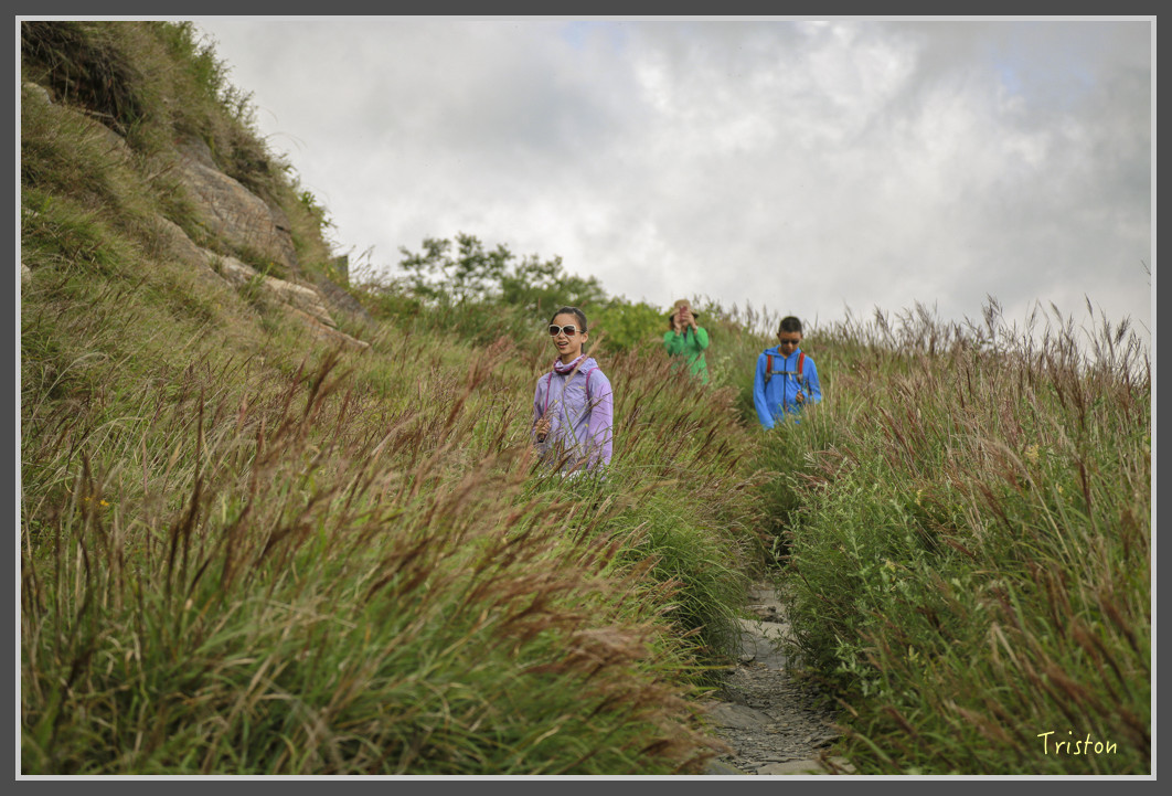 JH1A0165.jpg - 20160806 小奇萊步道、清境國小