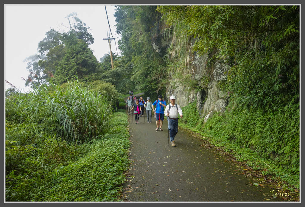 DSC00820.jpg - 20160924 溪頭台寅山