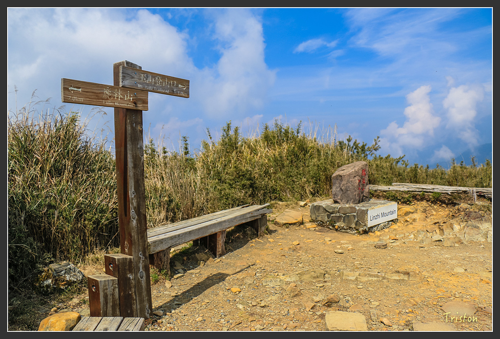 IMG_6162.jpg - 20160402 鹿林麟趾東埔山