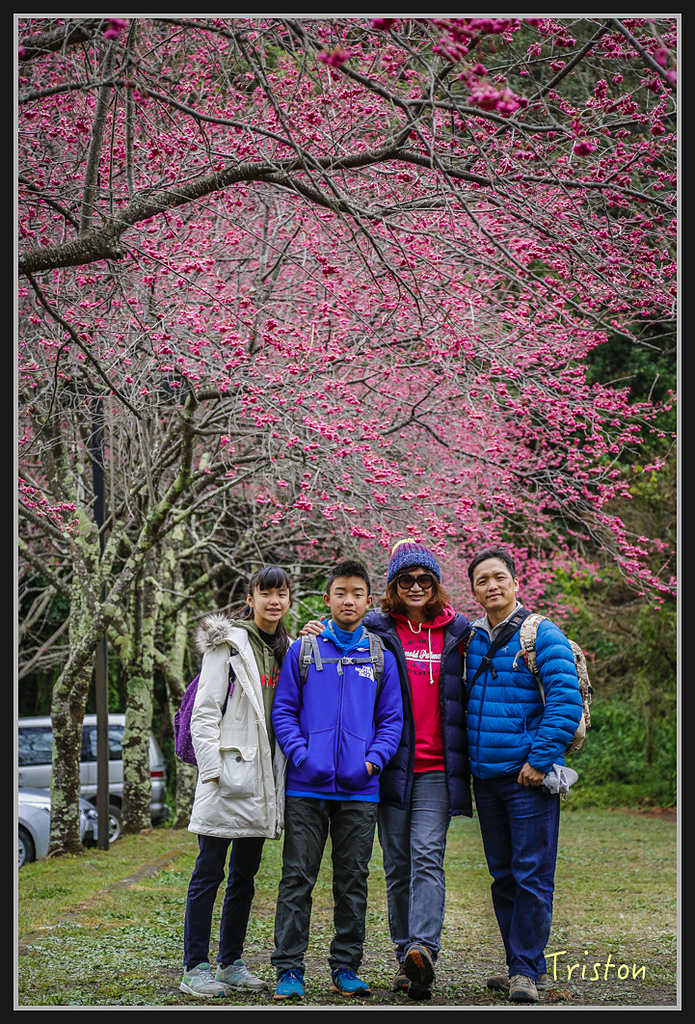 _H1A2344.jpg - 20170212 武界 萬大電廠 奧萬大