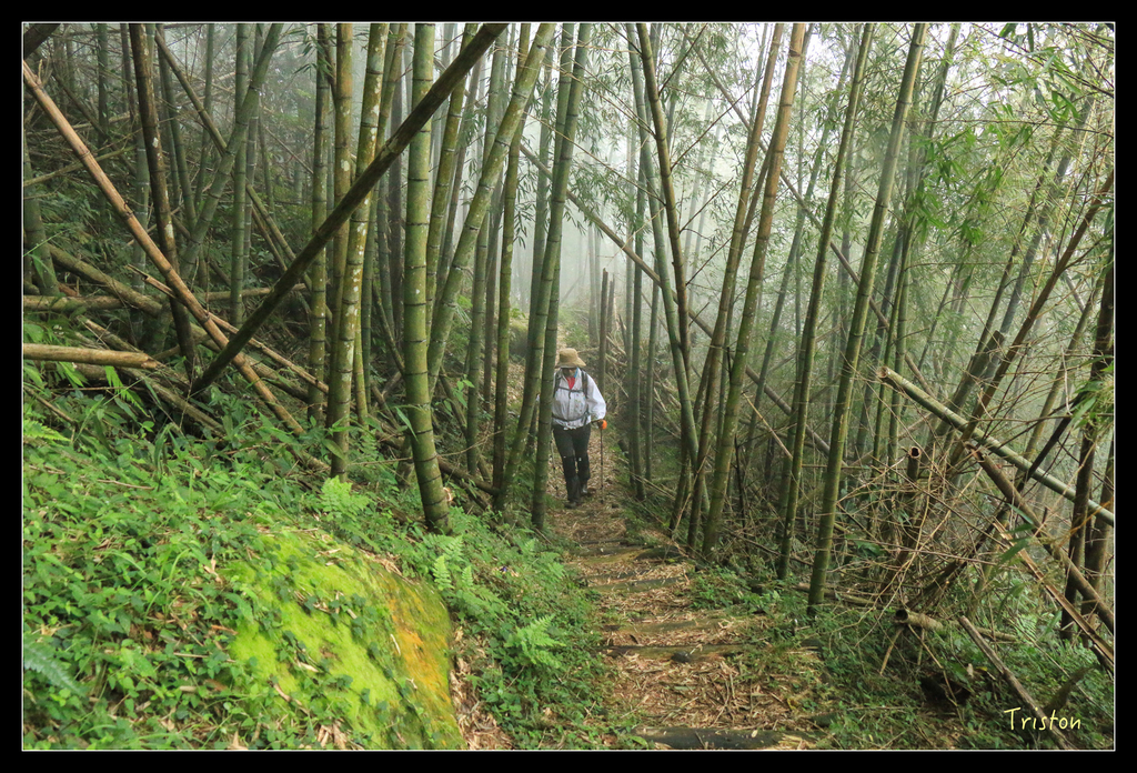 IMG_8448.jpg - 20151012 水社寮,四天王山