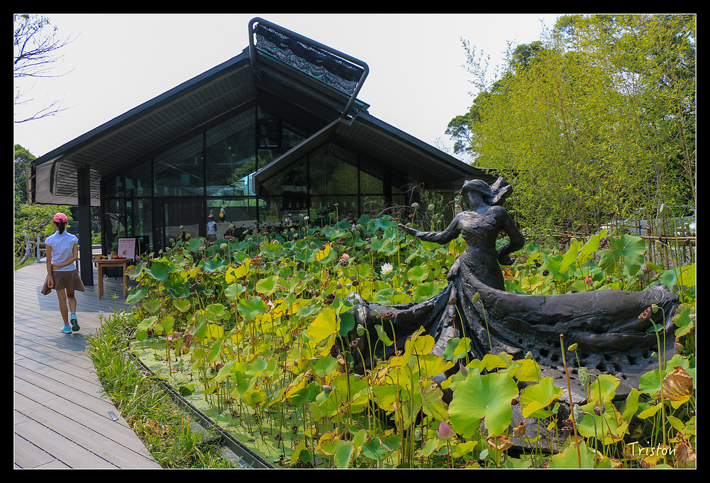 IMG_7745.jpg - 20150717 台北兒童新樂園 六福村