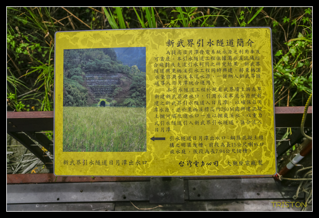 _H1A5186.jpg - 20170717 台北日月潭之旅