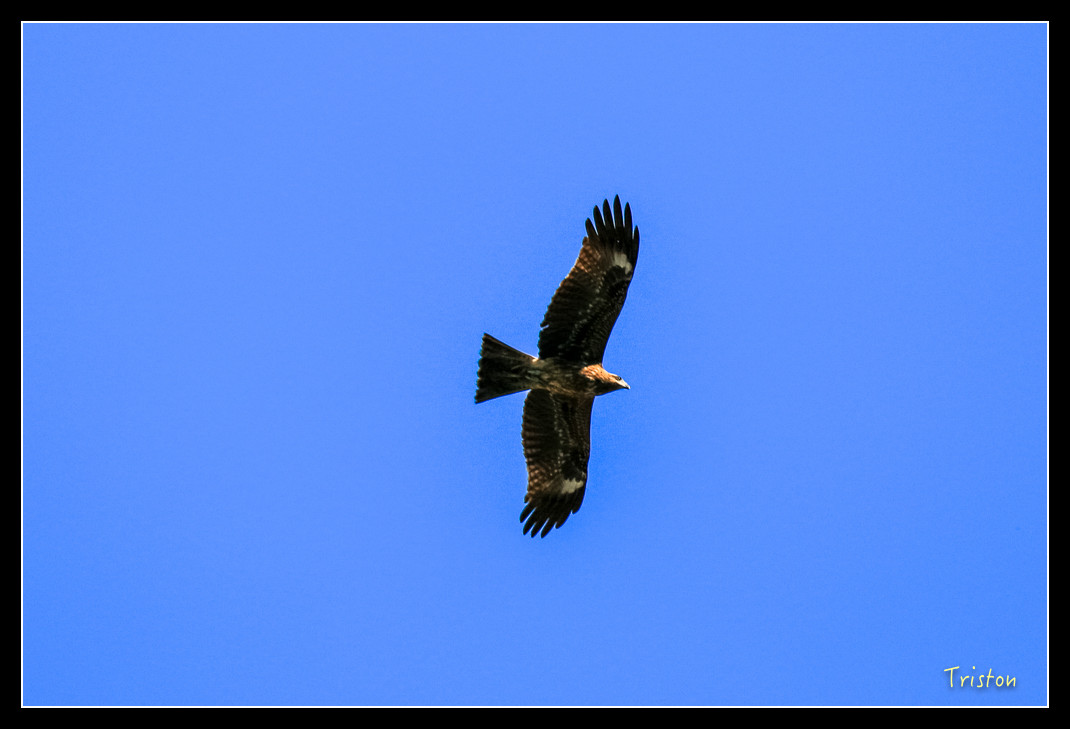 IMG_9440.jpg - 20151202 老七佳部落