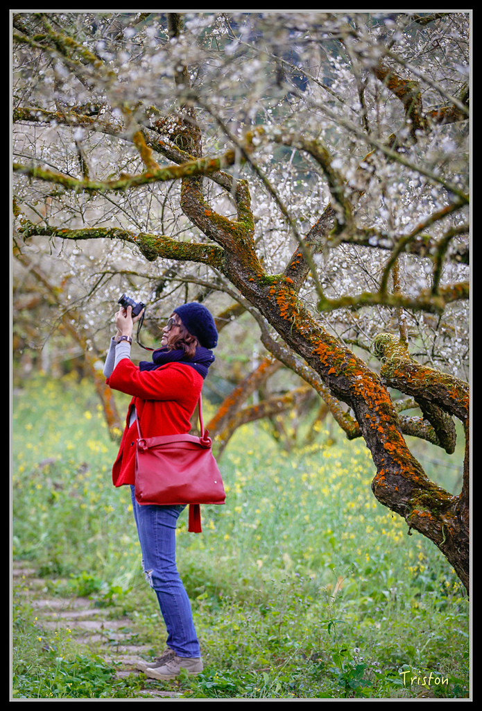 _H1A1297.jpg - 20170117 烏松崙、竹青庭