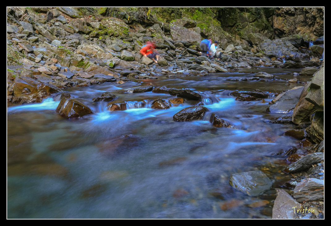 JH1A0792.jpg - 20151205 合歡溪步道、108K楓之谷