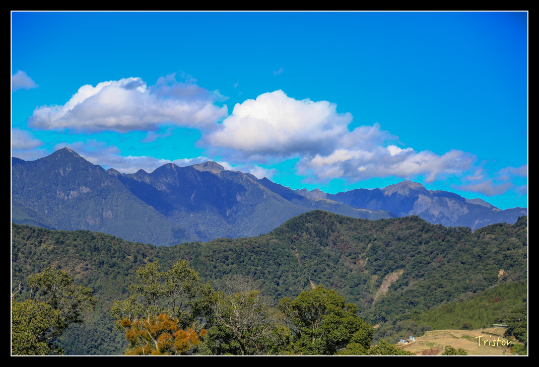 JH1A0609.jpg - 20151205 合歡溪步道、108K楓之谷