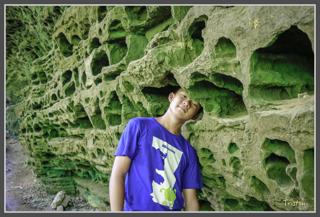 _MG_9136.jpg - 20160716 青年嶺步道