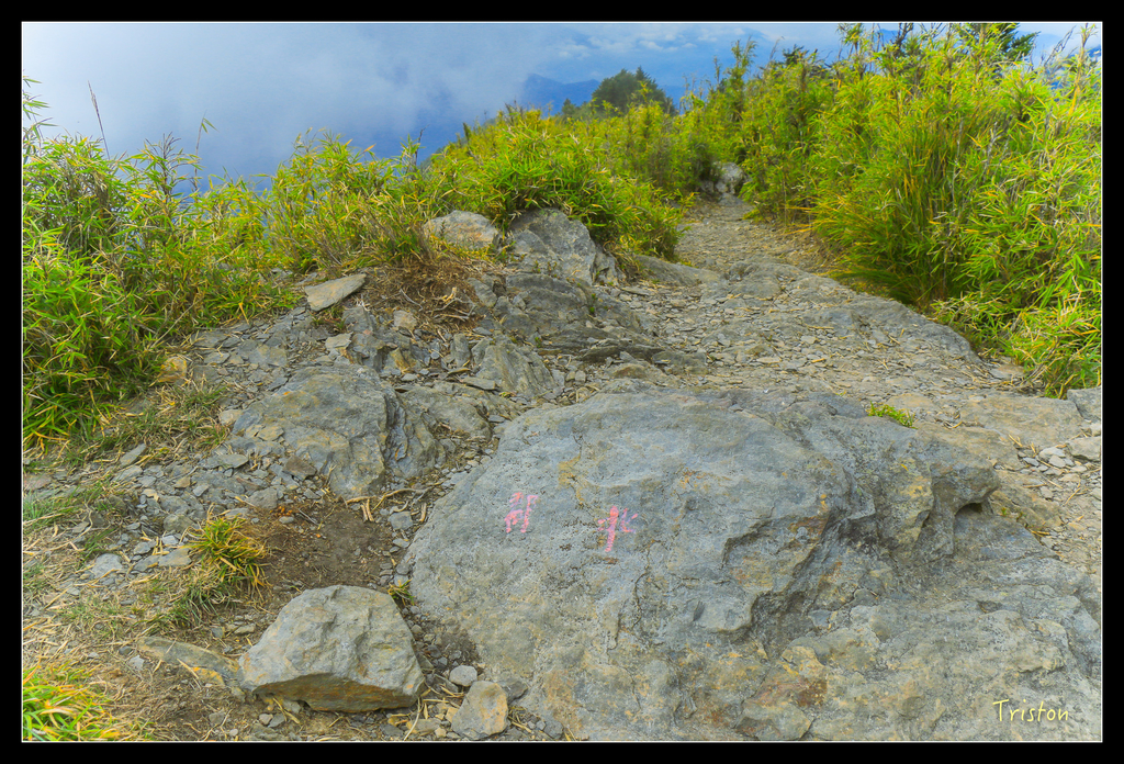 IMG_8769.jpg - 20151017 郡大林道、望鄉山、郡大山