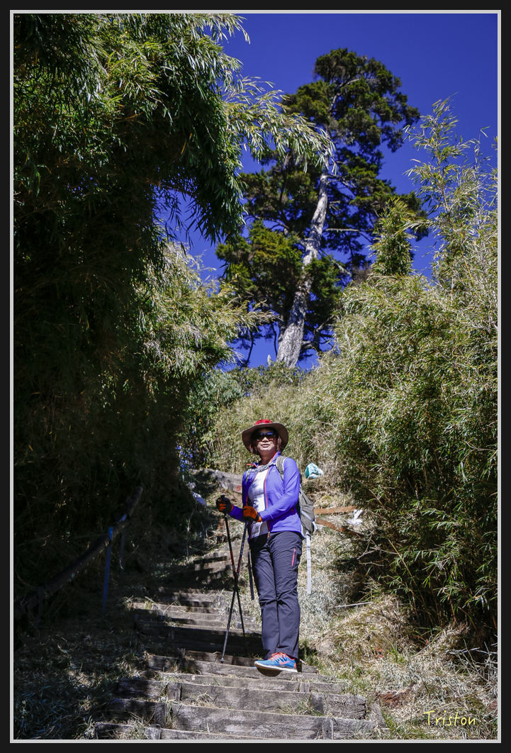 _MG_0102.jpg - 20161226 大塔山