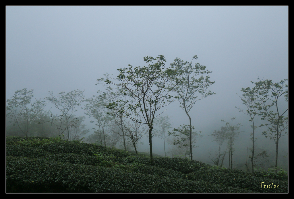 IMG_8419.jpg - 20151012 水社寮,四天王山