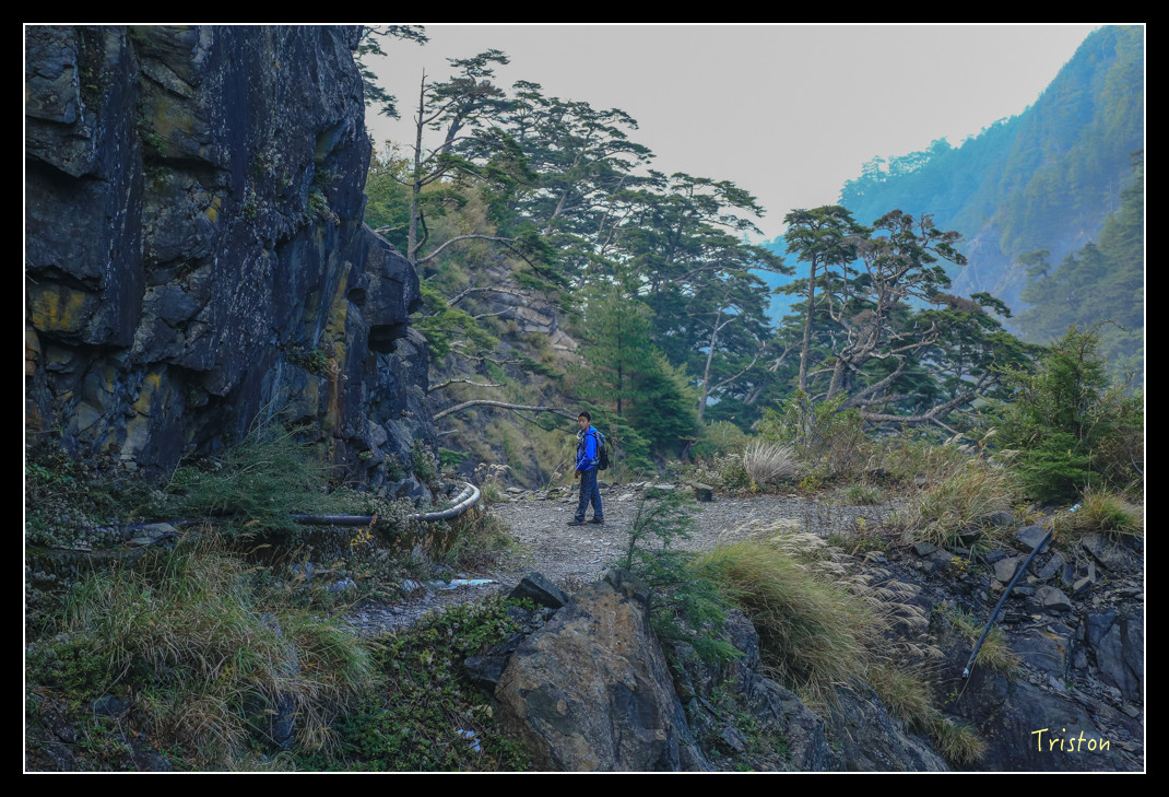 JH1A0832.jpg - 20151205 合歡溪步道、108K楓之谷