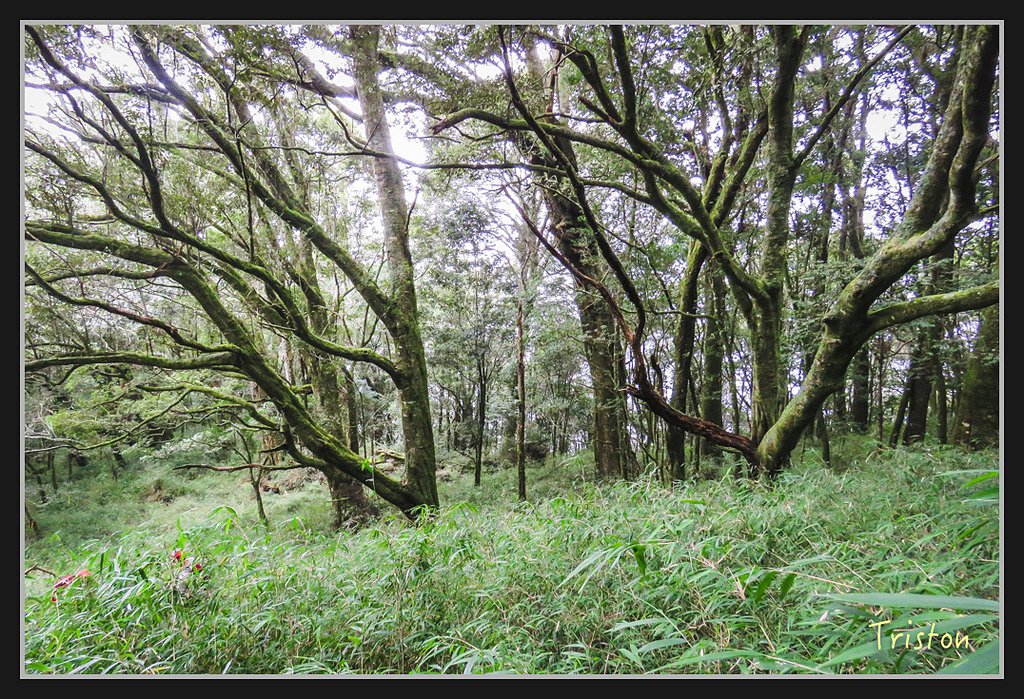 IMG_1395.jpg - 20170318 守關山、守城大山