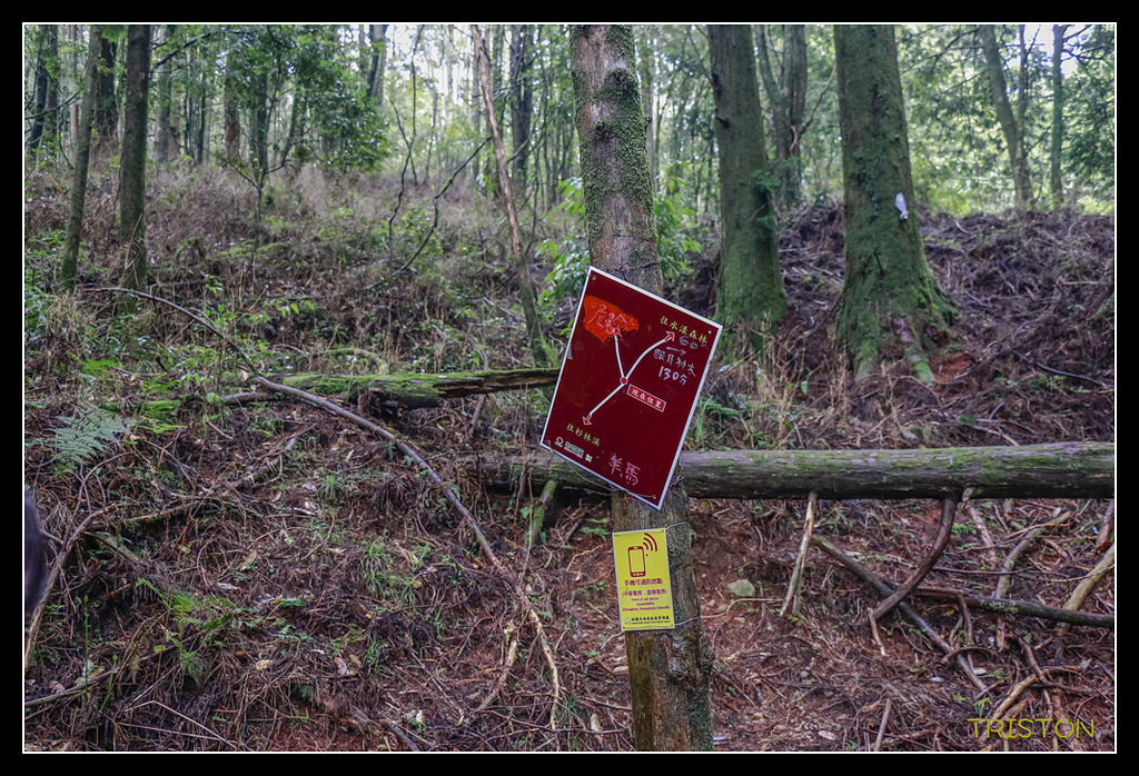 _MG_0123.jpg - 20170723 水漾森林