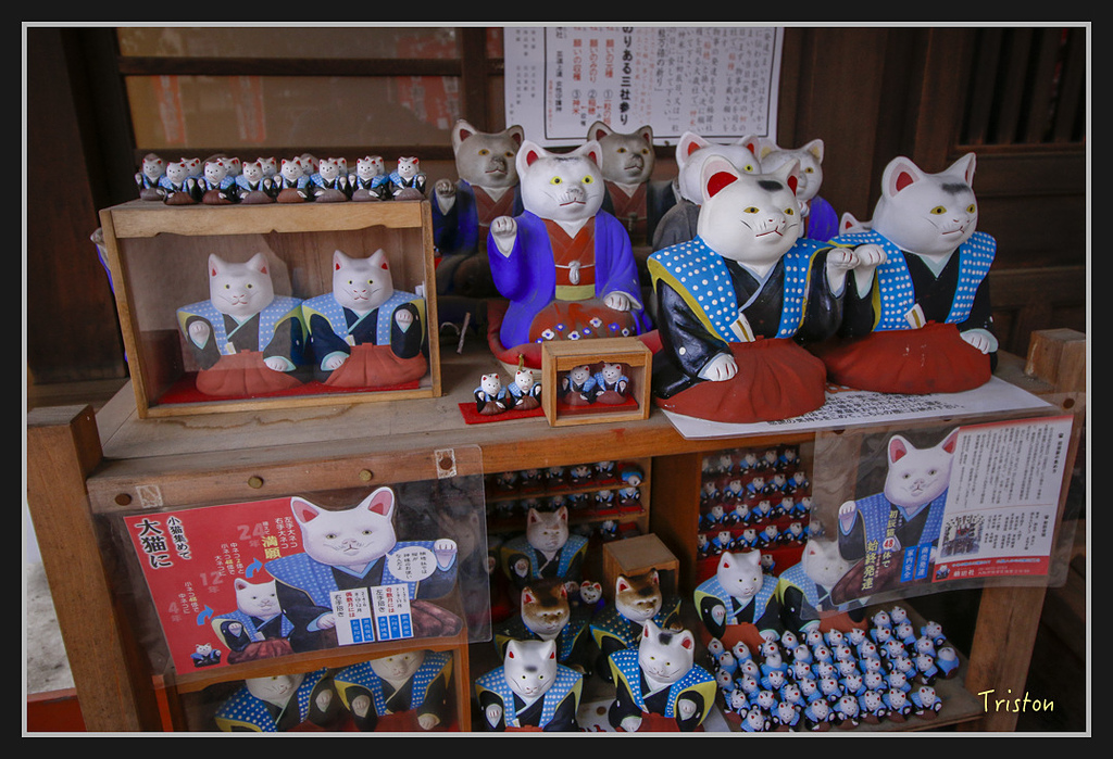 Canon-358.jpg - 20170120 大阪神戶親子遊