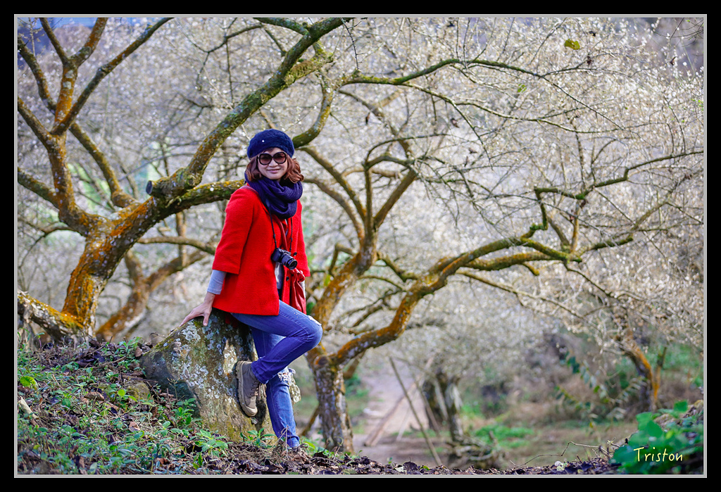 _H1A1416.jpg - 20170117 烏松崙、竹青庭