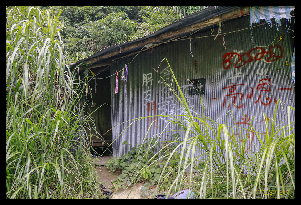 _MG_0052.jpg - 20170723 水漾森林