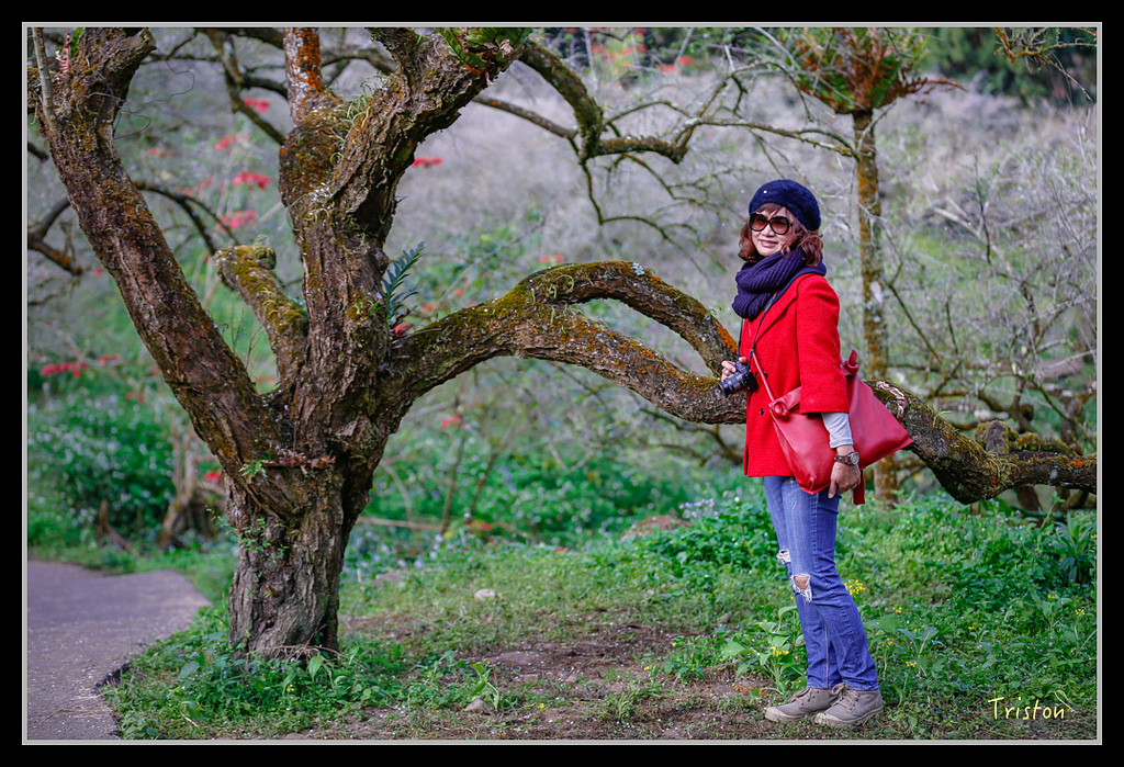 _H1A1464.jpg - 20170117 烏松崙、竹青庭