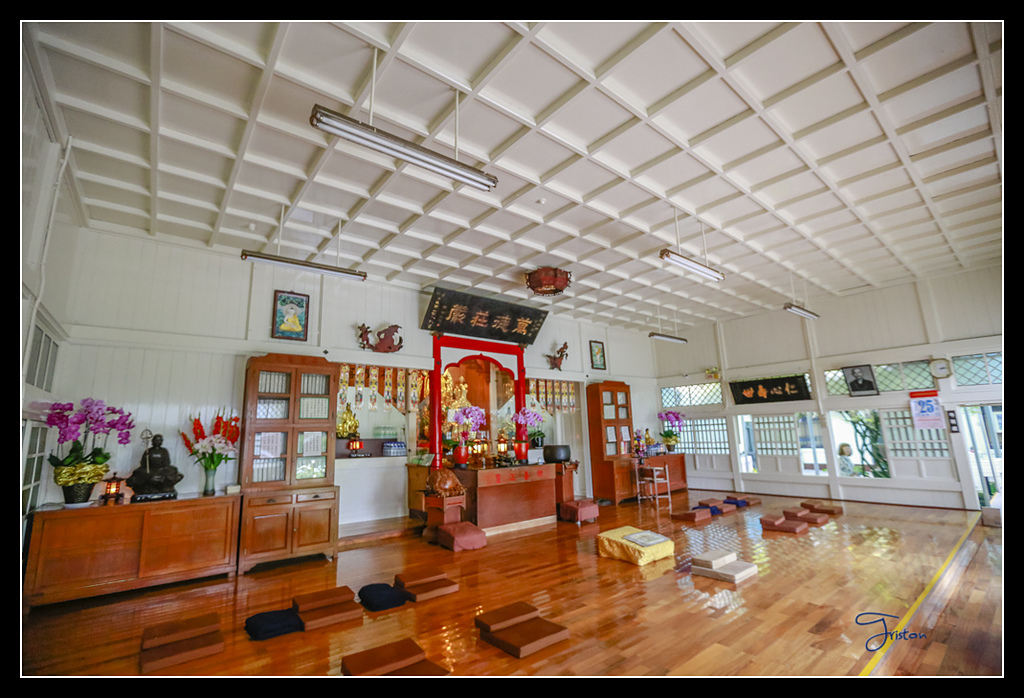 _H1A3759.jpg - 20170425 阿里山+圓潭螢火蟲