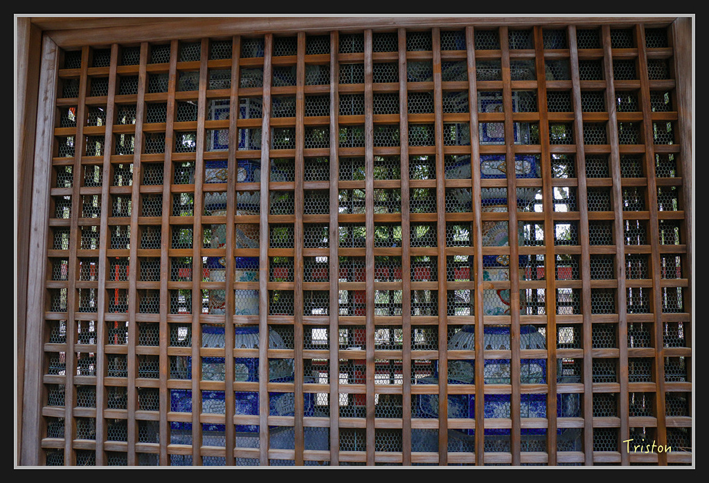 Canon-368.jpg - 20170120 大阪神戶親子遊