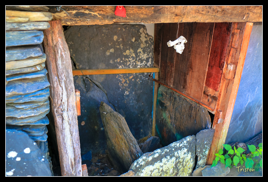 IMG_9494.jpg - 20151202 老七佳部落