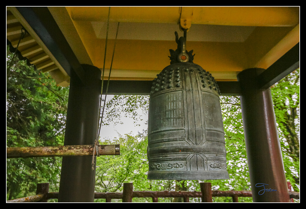 _H1A3743.jpg - 20170425 阿里山+圓潭螢火蟲