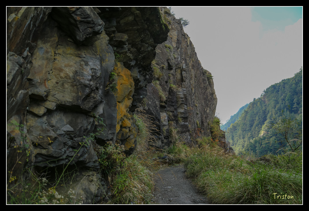 JH1A0725.jpg - 20151205 合歡溪步道、108K楓之谷