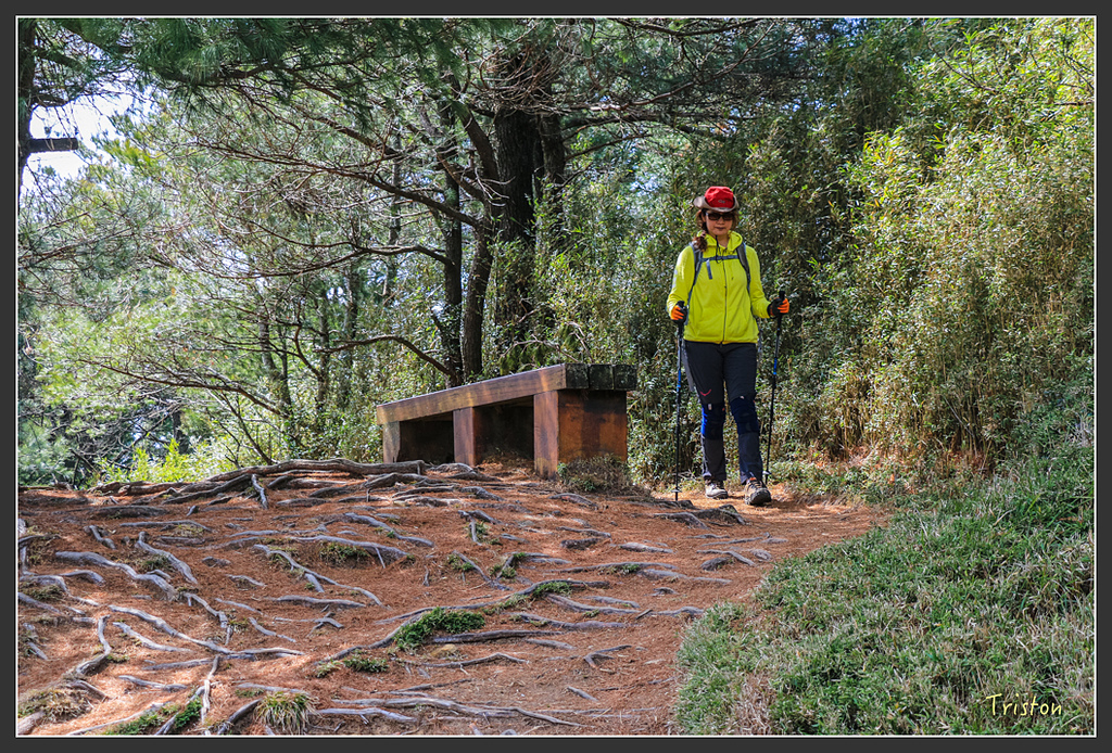 IMG_6154.jpg - 20160402 鹿林麟趾東埔山