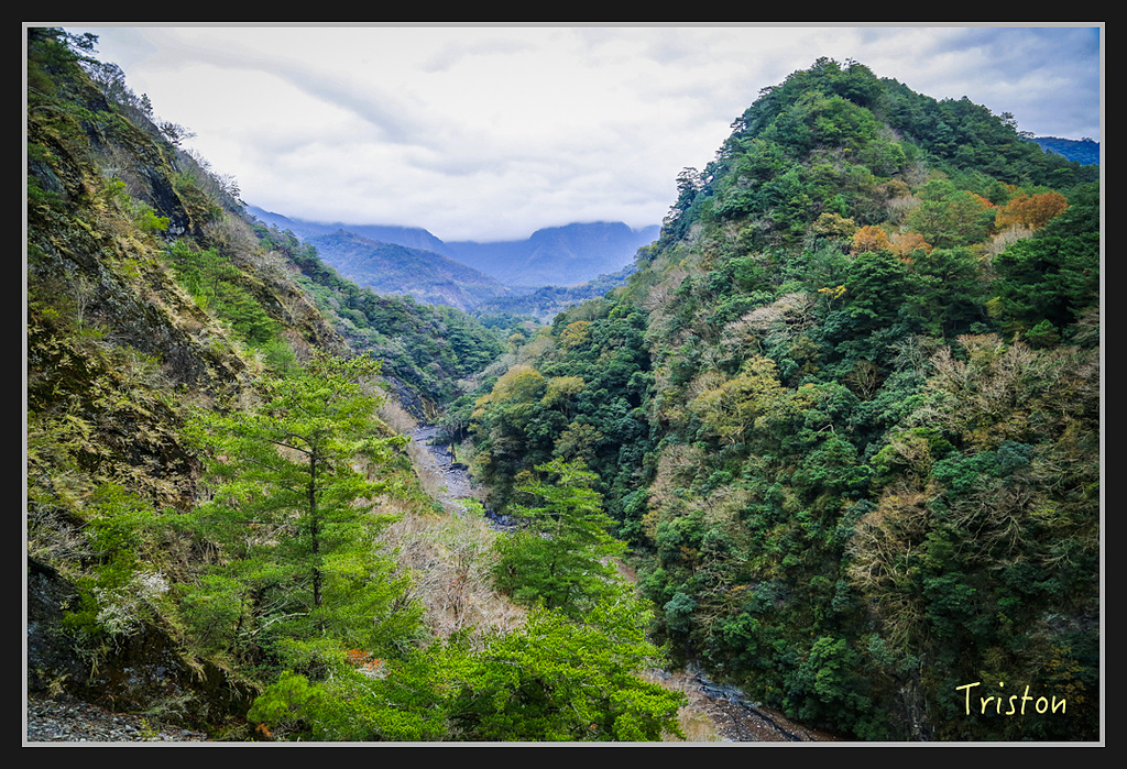 _H1A2250.jpg - 20170212 武界 萬大電廠 奧萬大