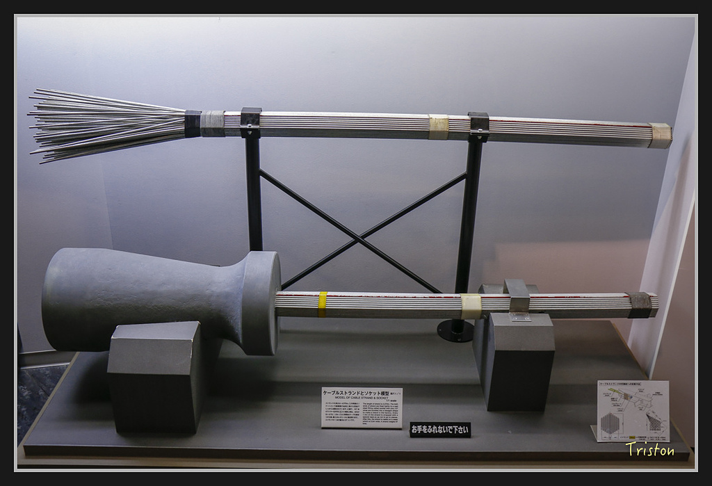 Canon-35.jpg - 20170120 大阪神戶親子遊