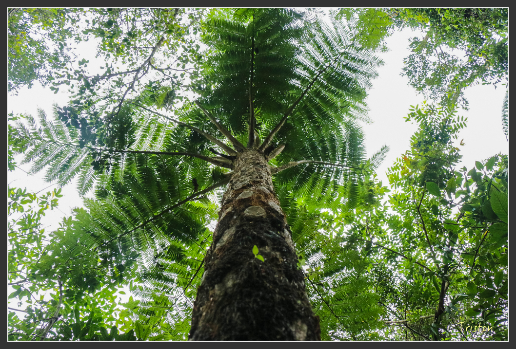 IMG_1400-2.jpg - 20160122 南仁湖、墾丁