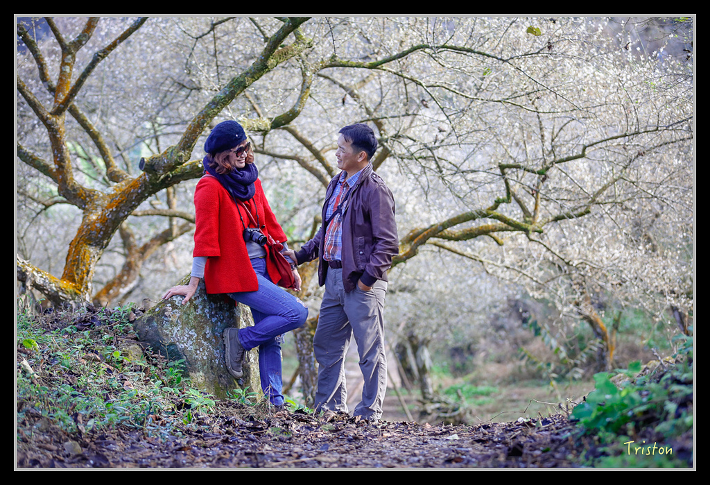 _H1A1425.jpg - 20170117 烏松崙、竹青庭