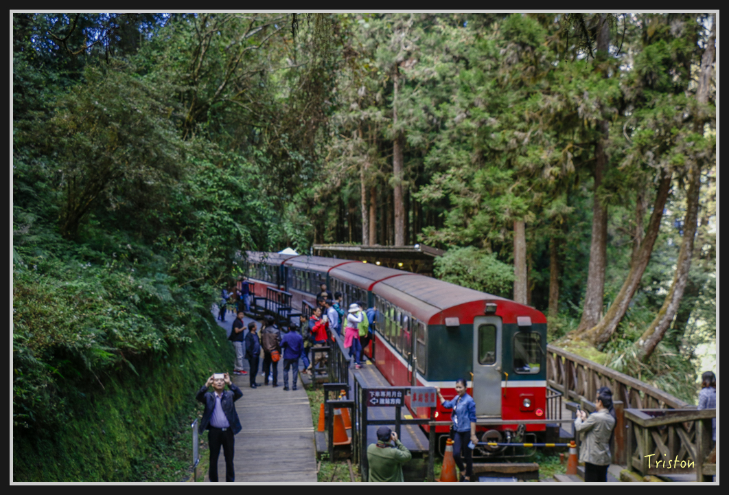 _MG_0203.jpg - 20161226 大塔山